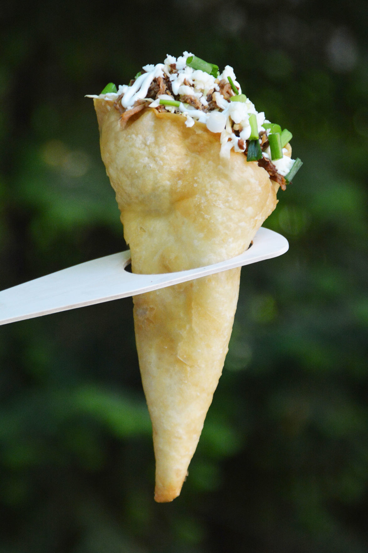 Carnitas Taco Cone